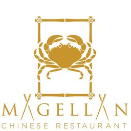 Magellan logo