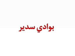Biwadi Sadir logo