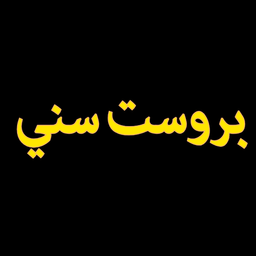 Brost Sunny logo