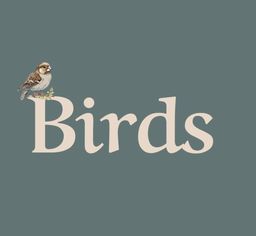 Birds logo