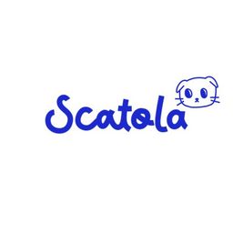 scatola logo