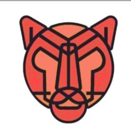 DR. Tiger logo