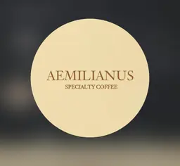 AemilIanus logo