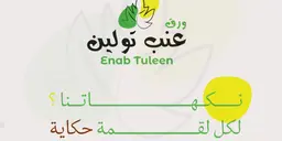 Enab Tuleen logo