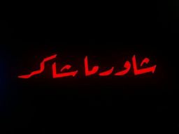 Shawarma Shaker logo