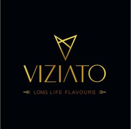VIZIATO logo