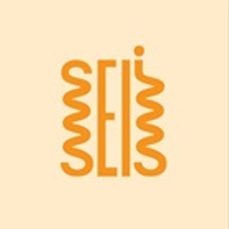 Seli pasta & noodels logo
