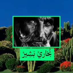 Bukhari Basheer logo