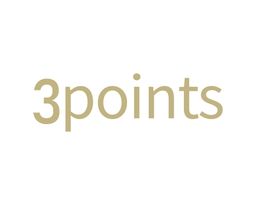 3 points logo