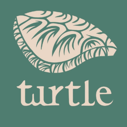 Turtle logo