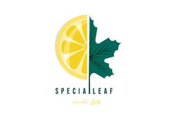 Special leaf grape leaves logo