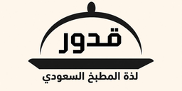 Qudur logo