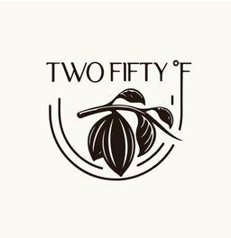 Two Fifty logo