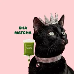Sha matcha logo