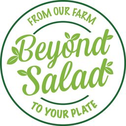 Beyond Salad logo
