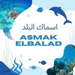 اسماك البلد logo