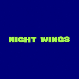 نايت وينجز logo