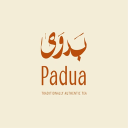 بدوى logo
