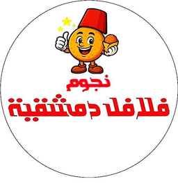 نجوم فلافل دمشقية logo