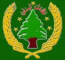 فلافل لبنان logo image