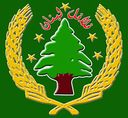 فلافل لبنان logo image