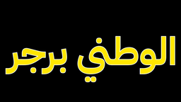 الوطني برجر logo