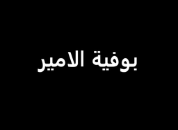 بوفية الامير logo