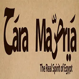 حارة مصرية logo