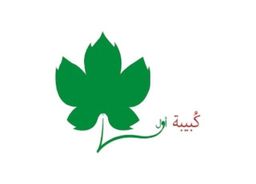 كبيبة أول logo