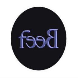 فيب logo