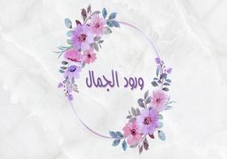 ورود الجمال  logo