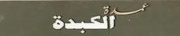 عمدة الكبدة logo