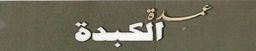 عمدة الكبدة logo