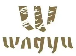 واقيو logo