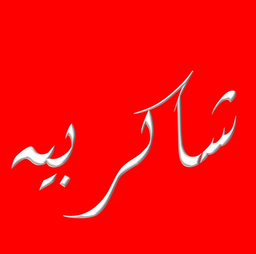 شاكر بيه logo