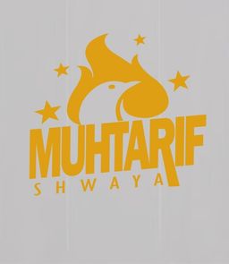 شواية المحترف logo