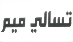 تسالي ميم logo