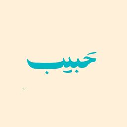 حبيب logo