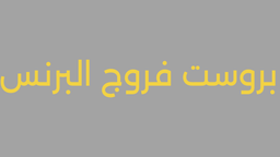 بروست فروج البرنس logo