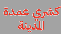 كشري عمدة المدينة logo