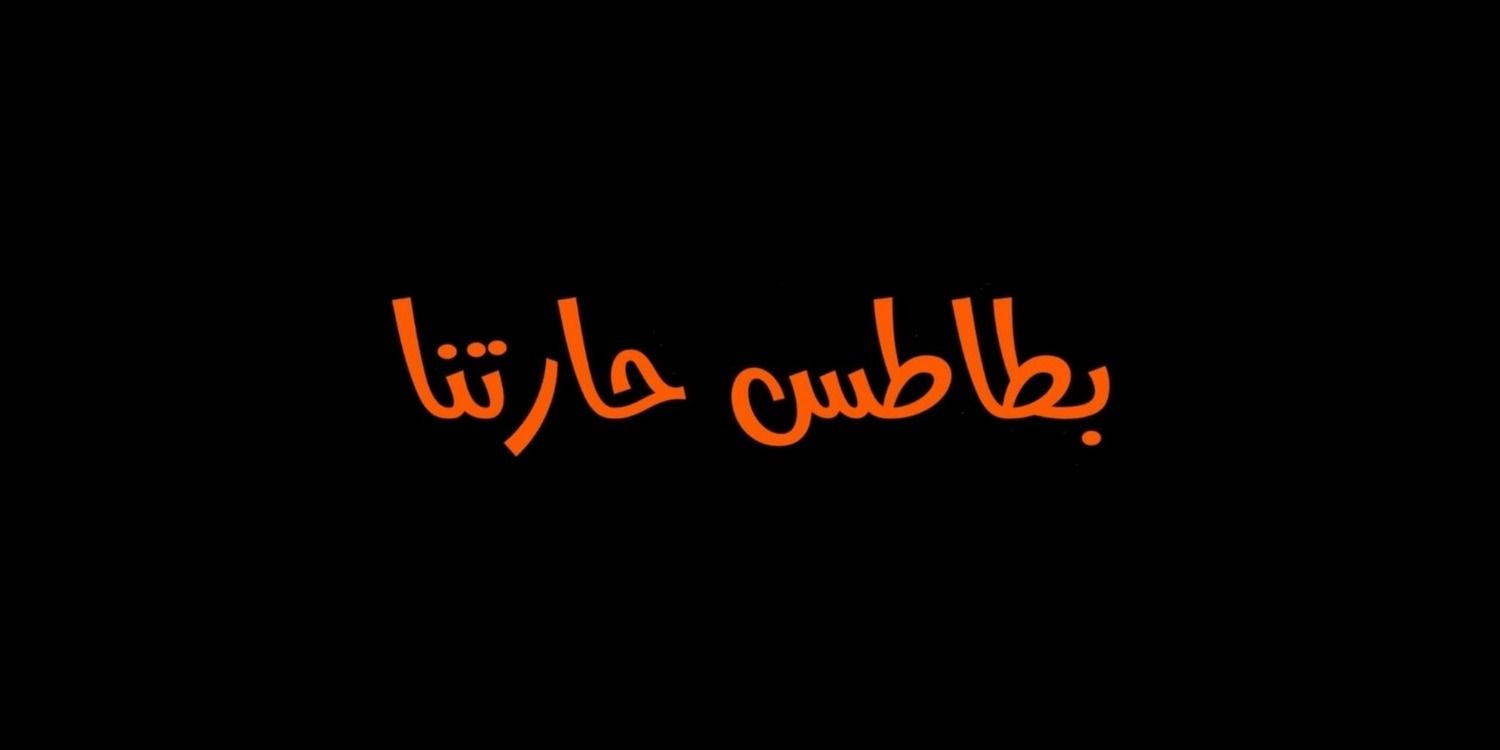 صورة بطاطس حارتنا
