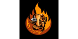 شواية هدب logo