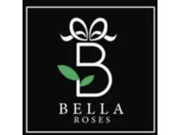 بيلا روز logo
