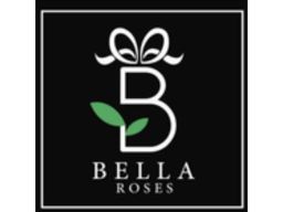 بيلا روز logo
