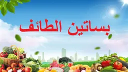 بساتين الطائف logo
