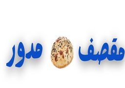 مقصف مدور logo