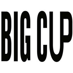 بيج كاب  logo