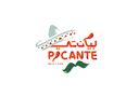 بيكانتي logo image