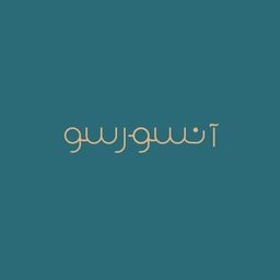 انسورسو  logo