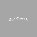 بروست بيج logo image